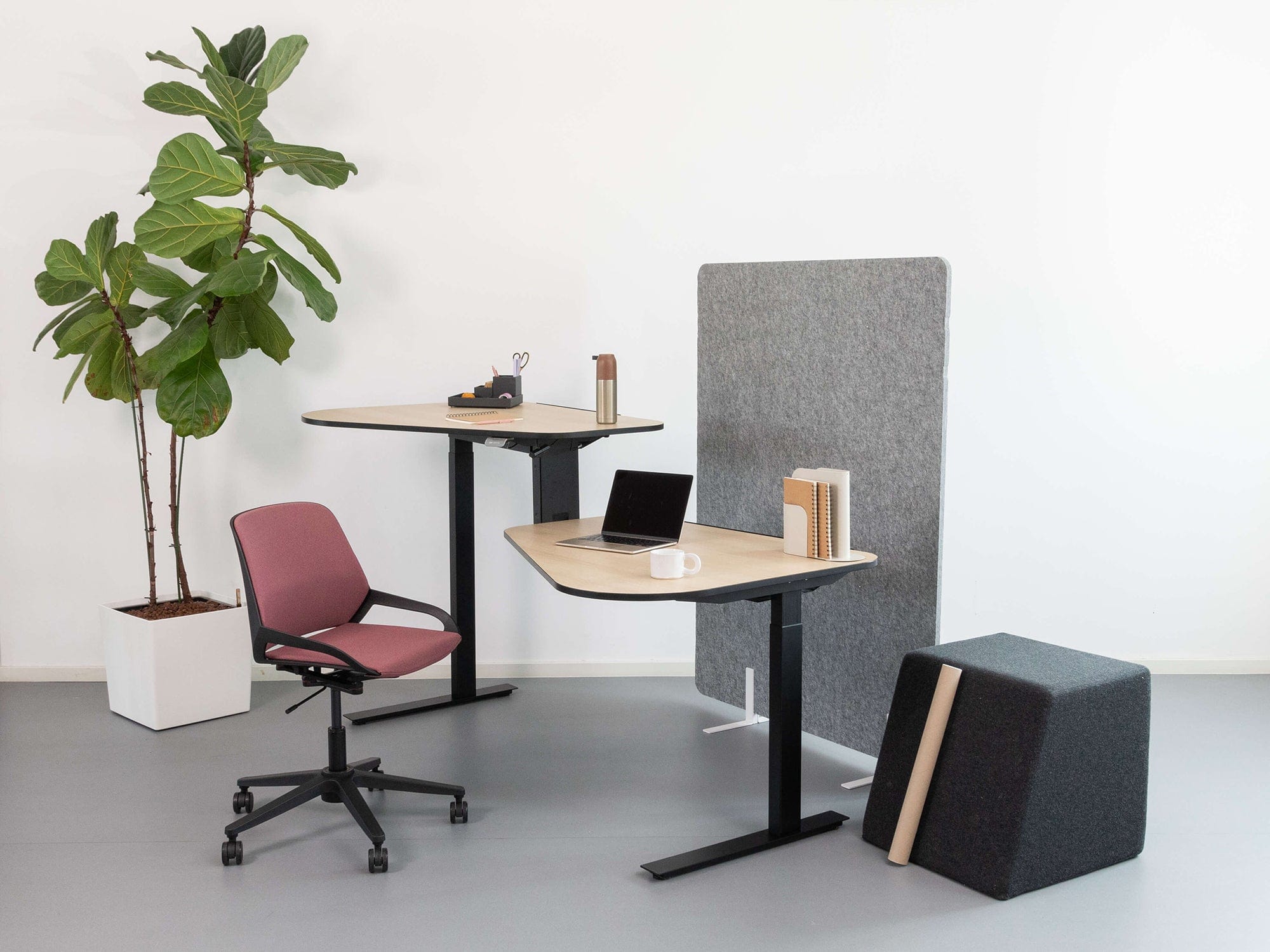 Ergonomische Büroeinrichtung mit einem Aeris Numo Task Bürostuhl und einem höhenverstellbaren Aeris Active Office Desk.